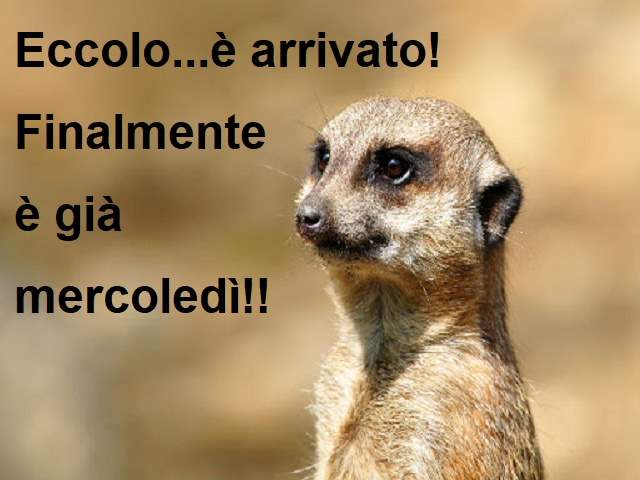 Eccolo...è arrivato! Finalmente è già mercoledì!!