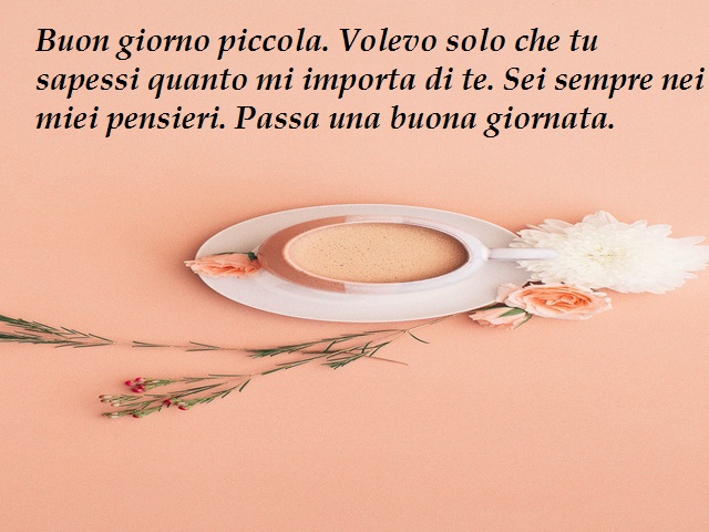 Buon giorno piccola. Volevo solo che tu sapessi quanto mi importa di te. Sei sempre nei miei pensieri. Passa una buona giornata.