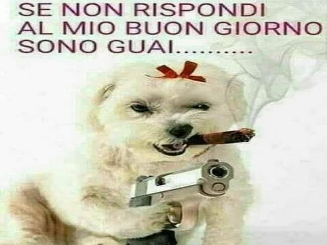 Se non rispondi al mio buon giorno sono guai...