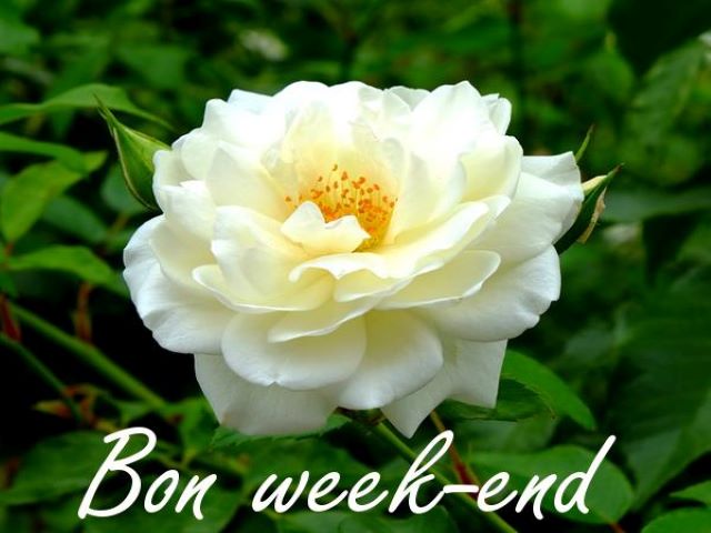 Bon week-end.(Buon weekend)