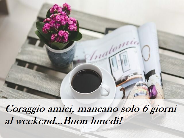 Coraggio amici, mancano solo 6 giorni al weekend...Buon lunedì!