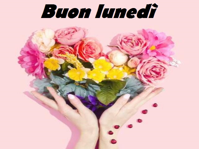 Buon lunedì