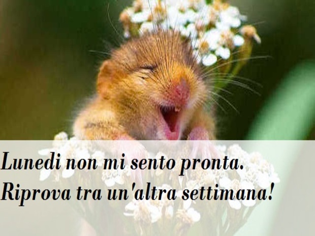 Lunedì non mi sento pronta. Riprova tra un'altra settimana!