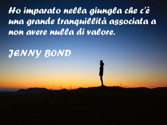 Ho imparato nella giungla che c'è una grande tranquillità associata a non avere nulla di valore. (Jenny Bond)
