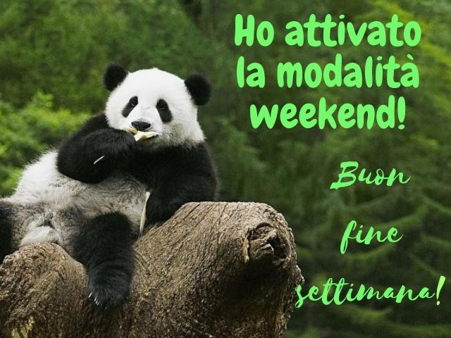 Ho attivato la modalità weekend! Buon fine settimana!