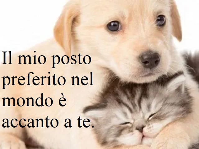 Il mio posto preferito nel mondo è accanto a te.