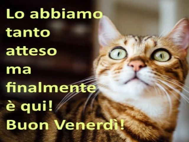 Lo abbiamo tanto atteso ma finalmente è qui! Buon venerdì!