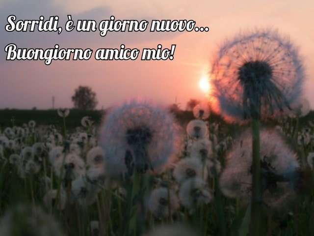 Sorridi, è un giorno nuovo... Buongiorno amico mio!