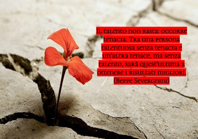 Il talento non basta: occorre tenacia. Tra una persona talentuosa senza tenacia e un’altra tenace, ma senza talento, sarà quest’ultima a ottenere i risultati migliori.(Beppe Severgnini)