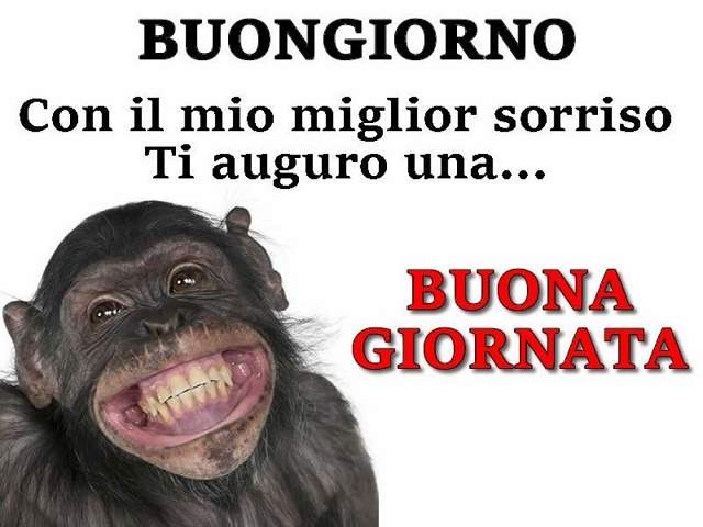 Buongiorno. Con il mio miglior sorriso ti auguro una....buona giornata!
