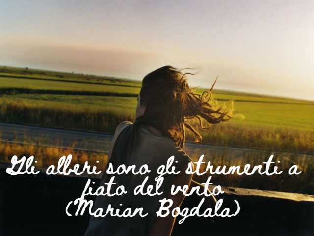Gli alberi sono gli strumenti a fiato del vento(Marian Bogdala)