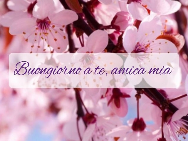 Buongiorno a te, amica mia.
