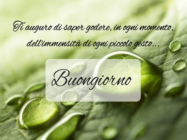 Ti auguro di saper godere, in ogni momento, dell'immensità di ogni piccolo gesto...Buongiorno.