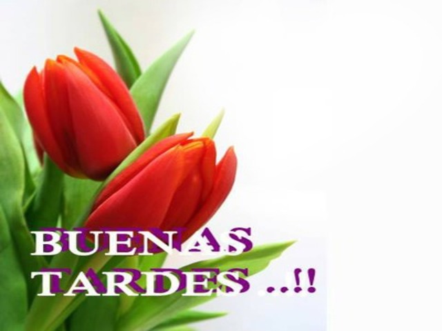 Buenas tardes!
