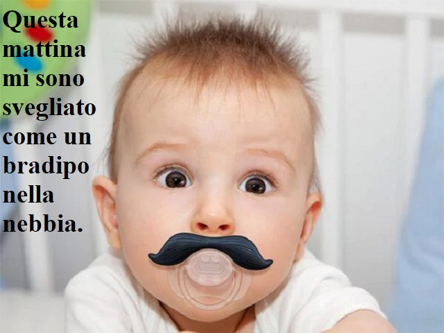 Questa mattina mi sono svegliato come un bradipo nella nebbia.