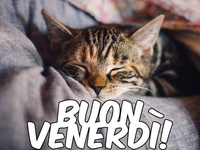 Buon venerdì!