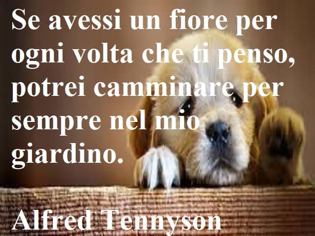 Se avessi un fiore per ogni volta che ti penso, potrei camminare per sempre nel mio giardino.(Alfred Tennyson)