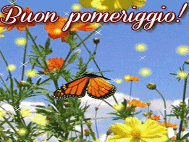 Buon pomeriggio.