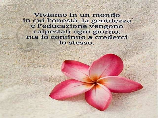 Viviamo in un mondo in cui l'onestà, la gentilezza e l'educazione vengono calpestati ogni giorno, ma io continuo a crederci lo stesso.