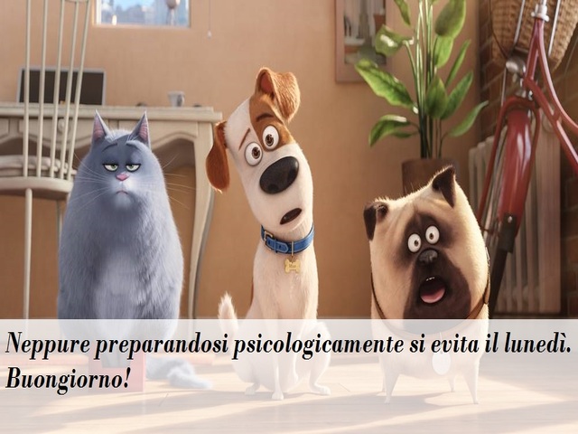 Neppure preparandosi psicologicamente si evita il lunedì. Buongiorno!