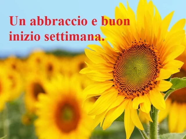 Un abbraccio e buon inizio settimana.