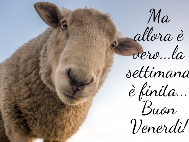Ma allora è vero… la settimana è finita… buon venerdì!