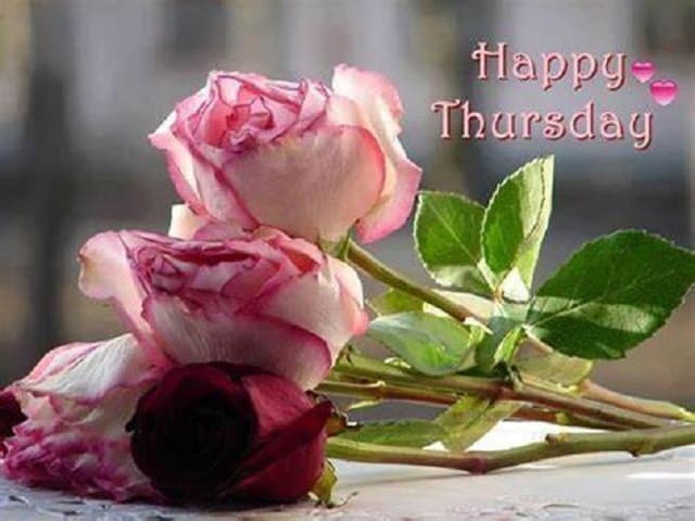Happy Thursday (Felice Giovedì)