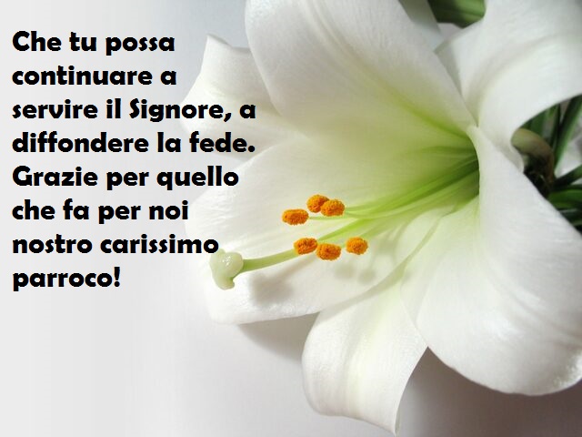 Che tu possa continuare a servire il Signore, a diffondere la fede. Grazie per quello che fa per noi nostro carissimo parroco!