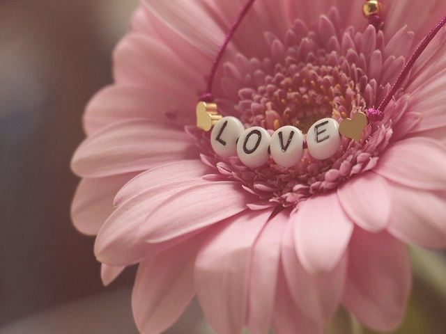 Frasi d’amore brevissime: 160 modi per dichiarare il proprio sentimento