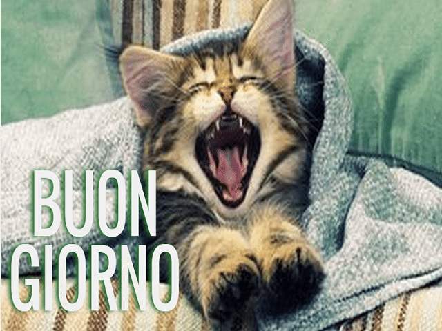 buongiorno pioggia divertente 3