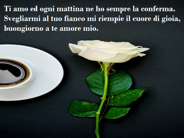 Ti amo ed ogni mattina ne ho sempre la conferma. Svegliarmi al tuo fianco mi riempie il cuore di gioia, buongiorno a te amore mio.
