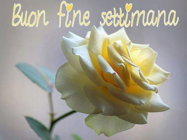 Buon fine settimana.