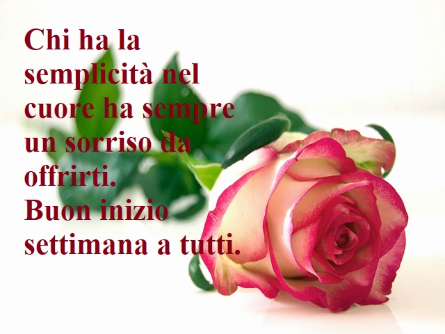 Chi ha la semplicità nel cuore ha sempre un sorriso da offrirti. Buon inizio settimana a tutti.