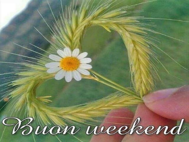 Buon weekend.
