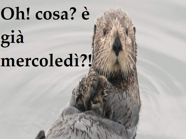 Oh! cosa? È già mercoledi?!
