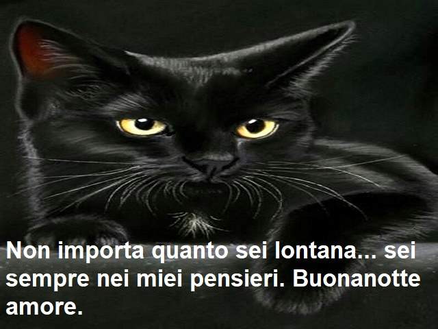 Non importa quanto sei lontana... sei sempre nei miei pensieri. Buonanotte amore.