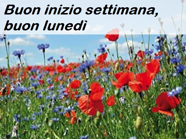 Buon inizio settimana, buon lunedì