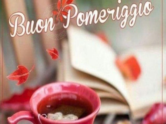 Buon pomeriggio.