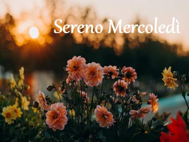 Sereno mercoledì