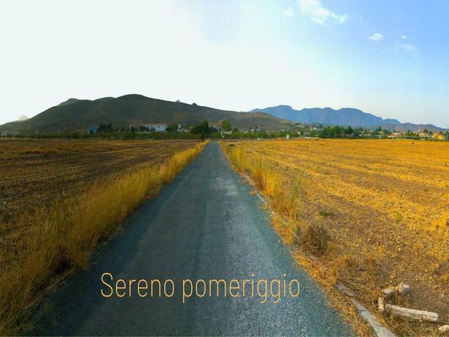 Sereno pomeriggio.