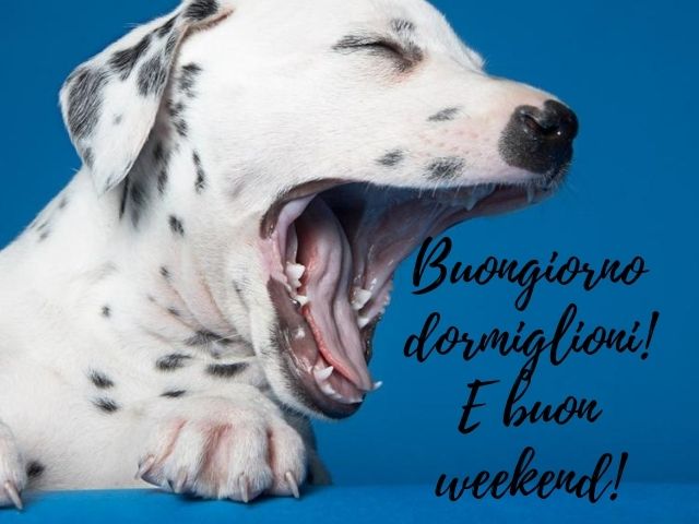 Buongiorno dormiglioni!E buon weekend!