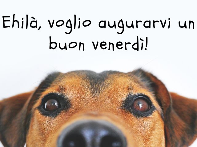 Ehilà, voglio augurarvi un buon venerdì!
