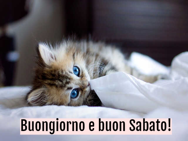 Buongiorno e buon Sabato!