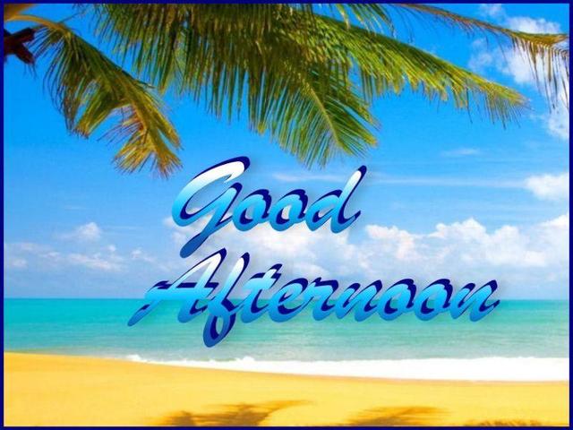 Good afternoon.