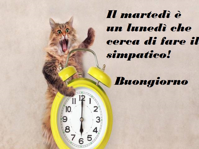 Il martedì è un lunedì che cerca di fare il simpatico! Buongiorno