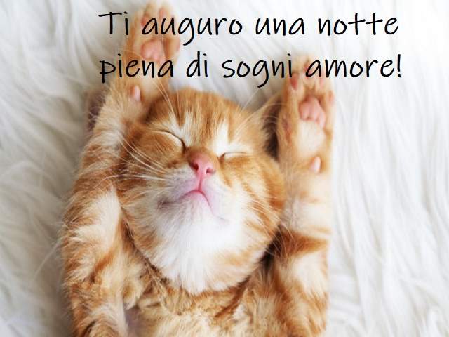 Ti auguro una notte piena di sogni amore!