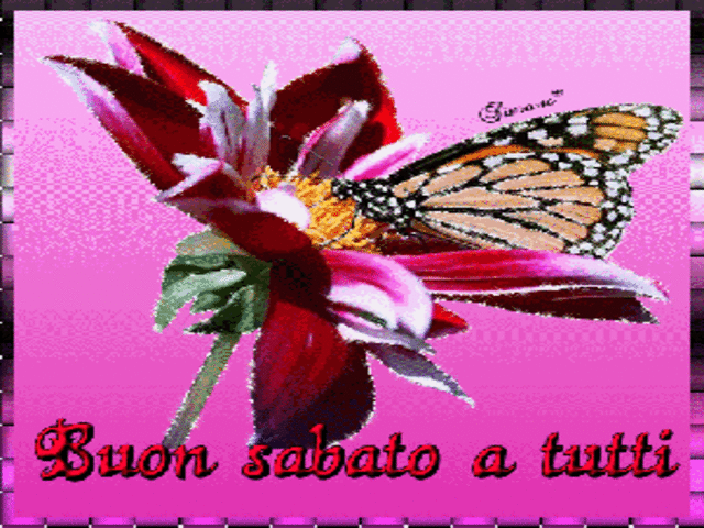 Buon sabato a tutti