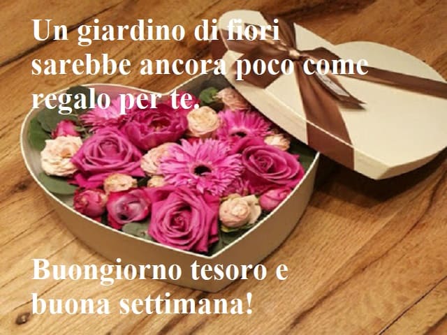 Un giardino di fiori sarebbe ancora poco come regalo per te. Buongiorno tesoro e buona settimana!