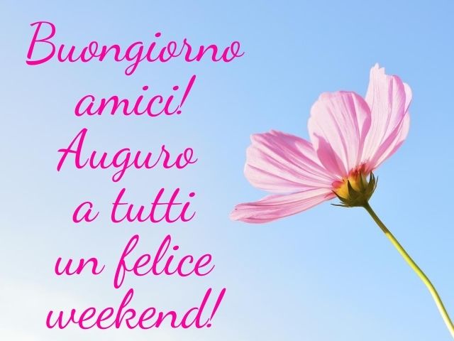 Buongiorno amici! Auguro a tutti un felice weekend!
