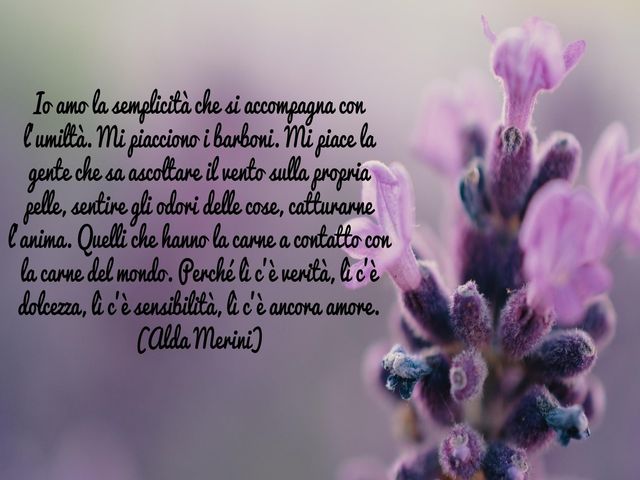 Io amo la semplicità che si accompagna con l’umiltà. Mi piacciono i barboni. Mi piace la gente che sa ascoltare il vento sulla propria pelle, sentire gli odori delle cose, catturarne l’anima. Quelli che hanno la carne a contatto con la carne del mondo. Pe